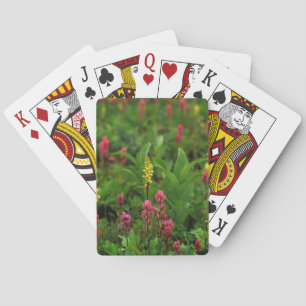 Sommarens vilda blommor sänder ut en färgexplosion casinokort