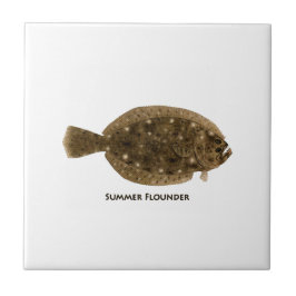 Sommarflundra Kakelplatta