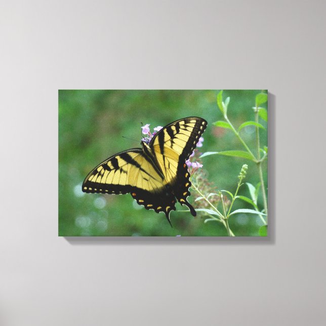 Sommarflygare! Canvastryck (Framsida)