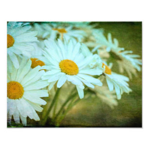 Sommarfotoutställning för Daisy Fototryck