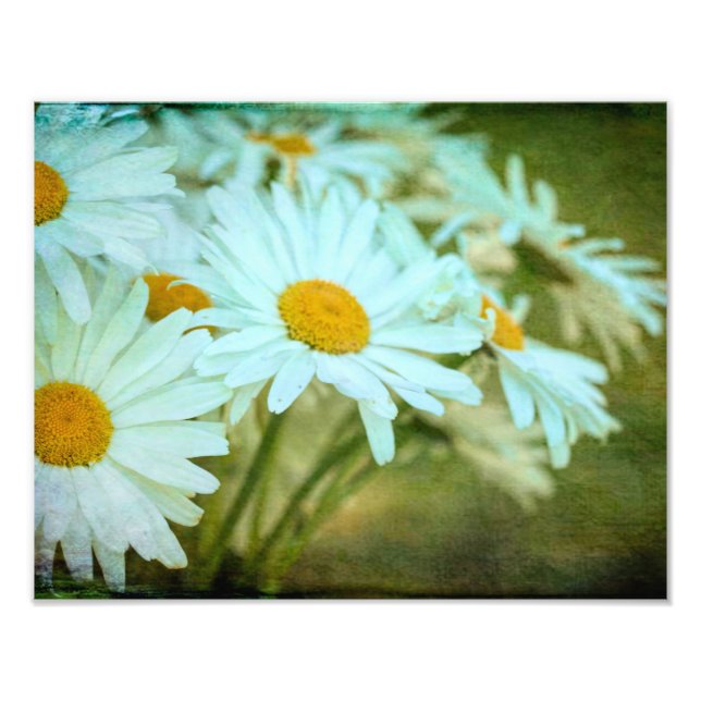 Sommarfotoutställning för Daisy Fototryck (Framsidan)