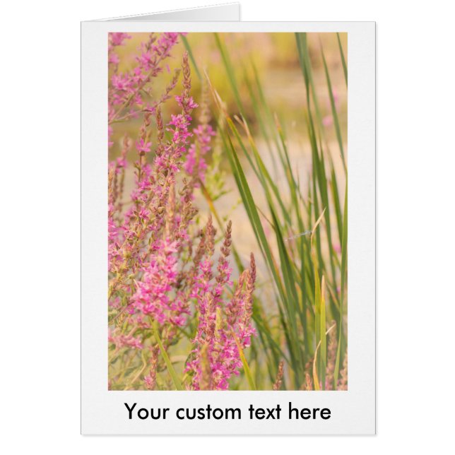 Sommargräs och sommarblommor hälsningskort (Framsidan)