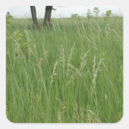Sommargräsmattor av H.A.S. Arts Fyrkantigt Klistermärke