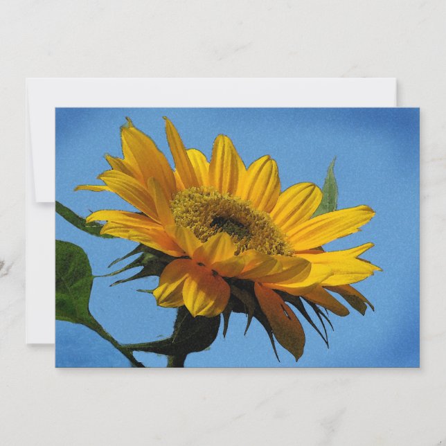 Sommargruppsinbjudan Inbjudningar (Framsida)