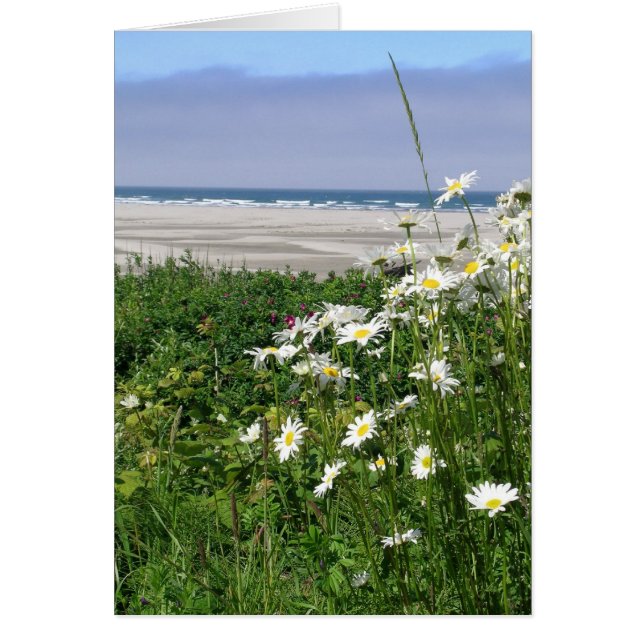 "Sommarhavets Daisy" Hälsningskort (Framsidan)