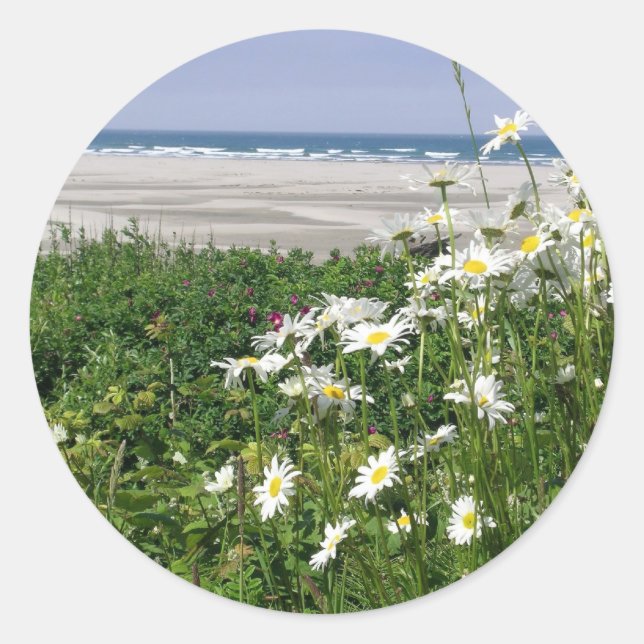 "Sommarhavets Daisy" Runt Klistermärke (Framsida)