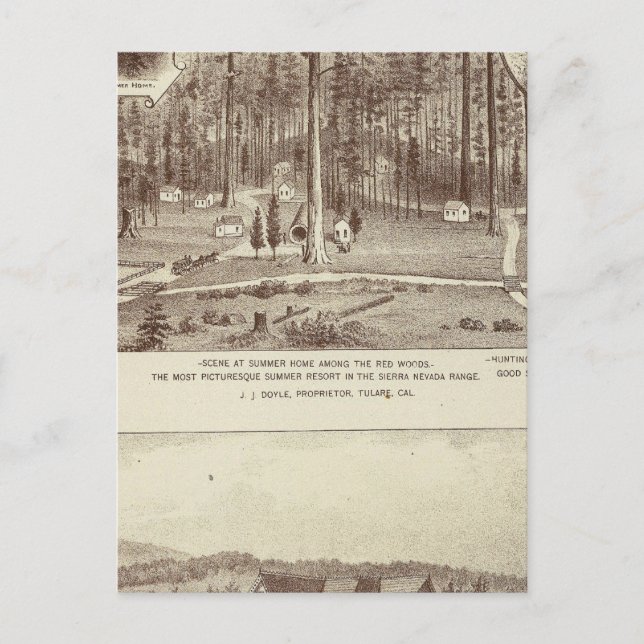 Sommarhem, Lewis-bostad Vykort (Framsida)