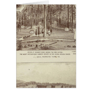 Sommarhem, Lewis-residens Hälsningskort