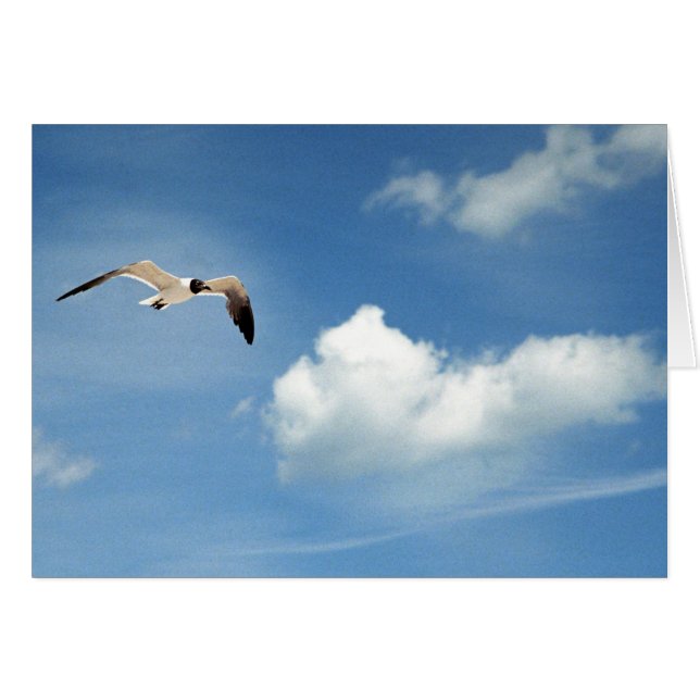 Sommarhimmel Hälsningskort (Framsidan Horizontal)