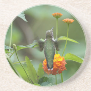 SommarHummer Underlägg