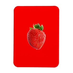 Sommarjordgubbsbär Magnet