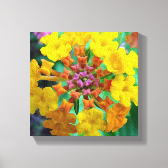 Sommarjudar Canvastryck (Framsida)