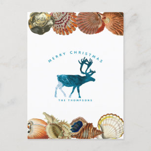 Sommarjulstrupen Seashell Reindeer Helg Vykort