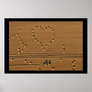 Sommarkärlek Poster