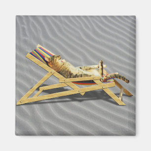 Sommarkatten ta sig en tupplur i strandstol med magnet