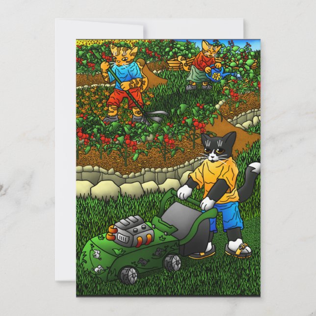  sommarkatter kort (Framsida)