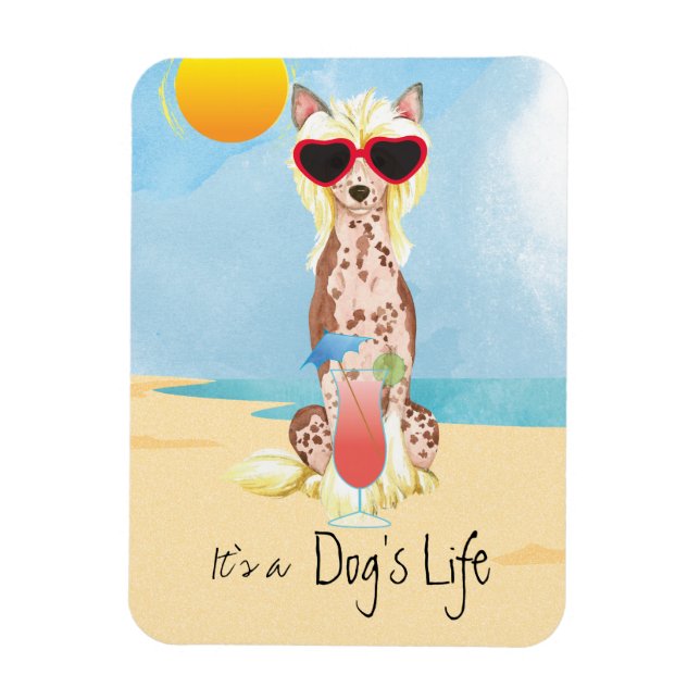 Sommarkinesisk rastgård magnet (Vertikal)