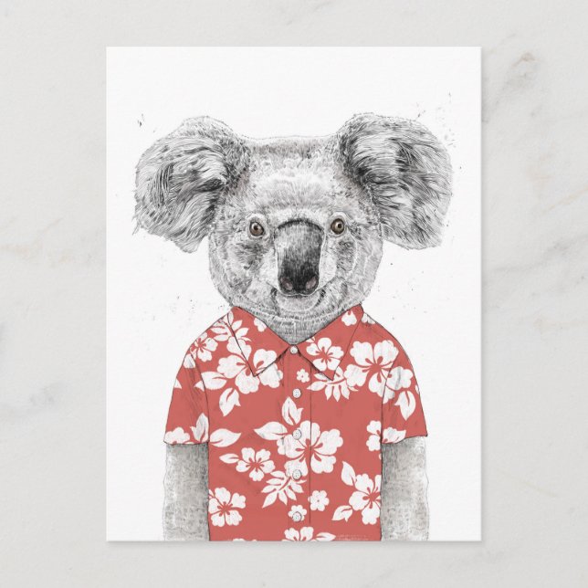 Sommarkoala (röd) vykort (Framsida)