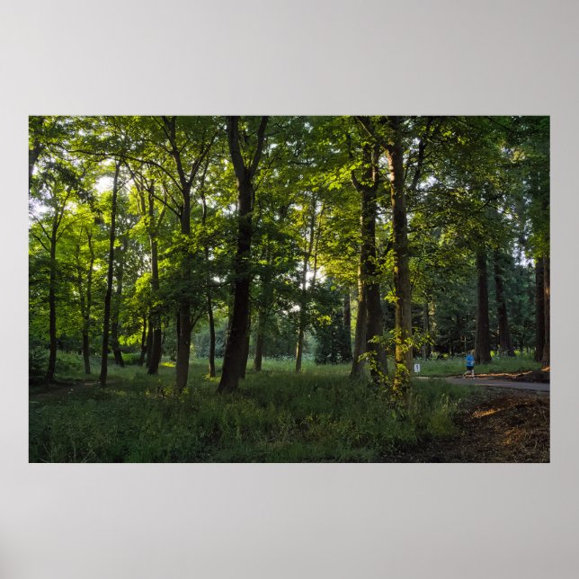 Sommarkväll, Bute Park, Cardiff Poster (Framsidan)