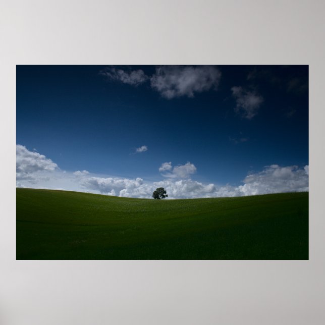 Sommarlandskap (gammal Linslade 8355) Poster (Framsidan)