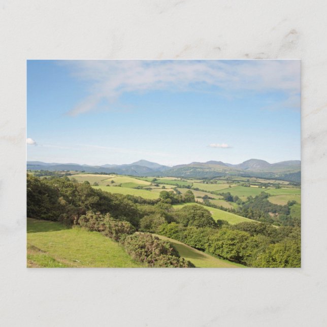 Sommarmorgon i Conwy Valley Vykort (Framsida)