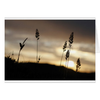 Sommarmörker Hälsningskort