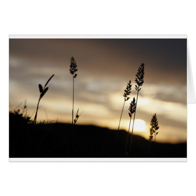 Sommarmörker Hälsningskort (Framsidan Horizontal)