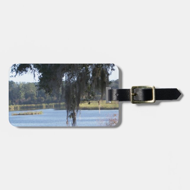 Sommarreflektioner söder om sjö bagagebricka (Horisontell Framsida)