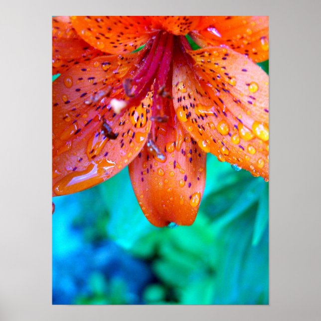 sommarregn poster (Framsidan)