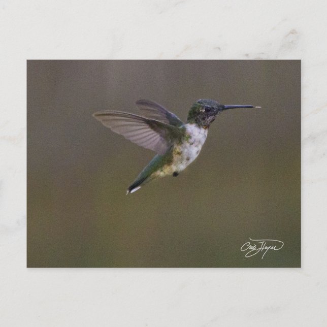 SommarRoligt Vykort (Framsida)