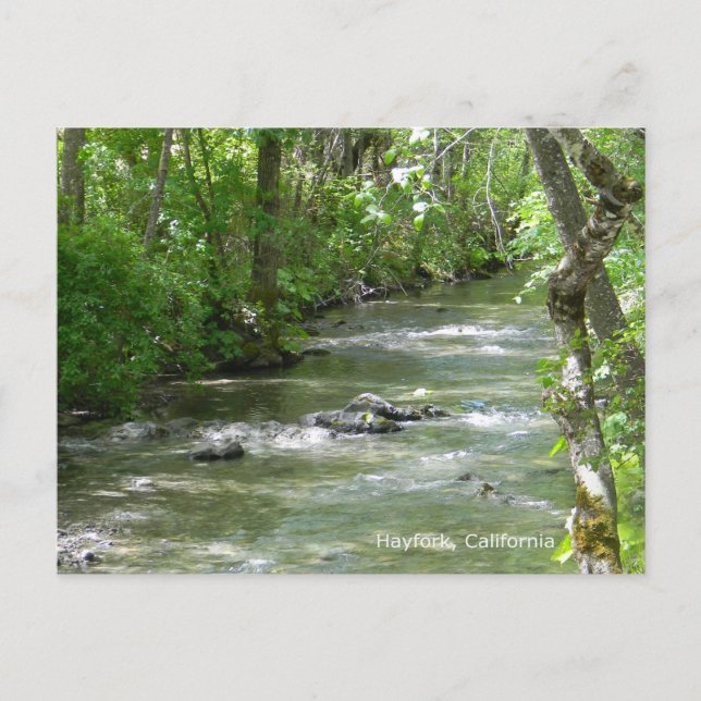 SommarRoligt... Vykort (Framsida)