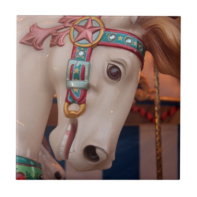 Sommarsikter och Ljud Kakelplatta (Framsidan)