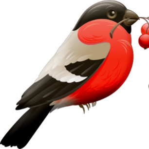 Sommarskjortan med röd, svart fågel t shirt