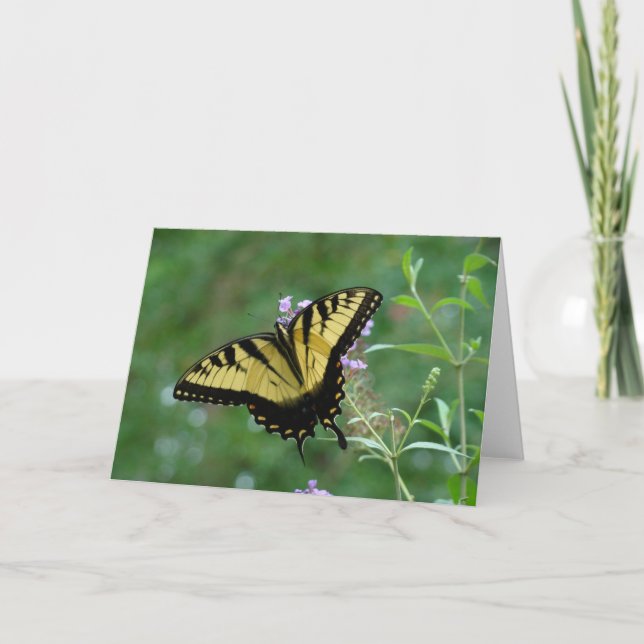 Sommarskönhet Kort (Framsida)