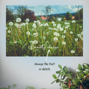 Sommarskugga med dandelioner poster