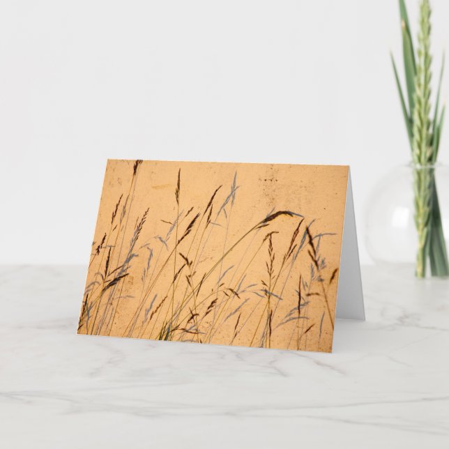 Sommarskuggor Kort (Framsida)