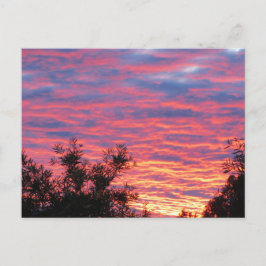 Sommarsolnedgång Vykort