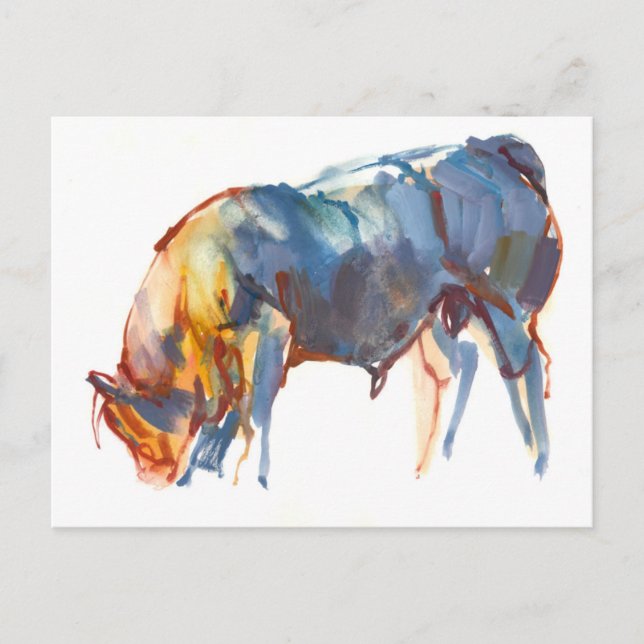 Sommarsolnedgången 2010 vykort (Framsida)