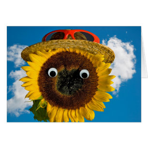 Sommarsolrosdagen Humor OBS Kort