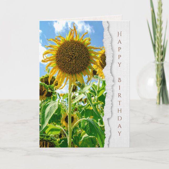 Sommarsolrosfödelsedag Kort (Framsida)