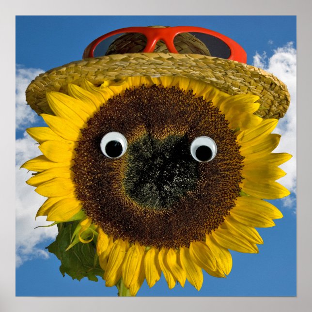 Sommarsolrosnöje Poster (Framsidan)