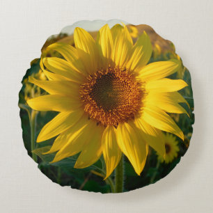 Sommarsolrosrunda Pillow Rund Kudde
