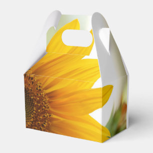 Sommarsolrosruta Presentaskar