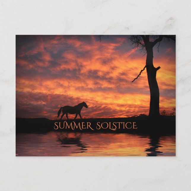 Sommarsolstånd Litha-häst och soluppgång Vykort (Framsida)