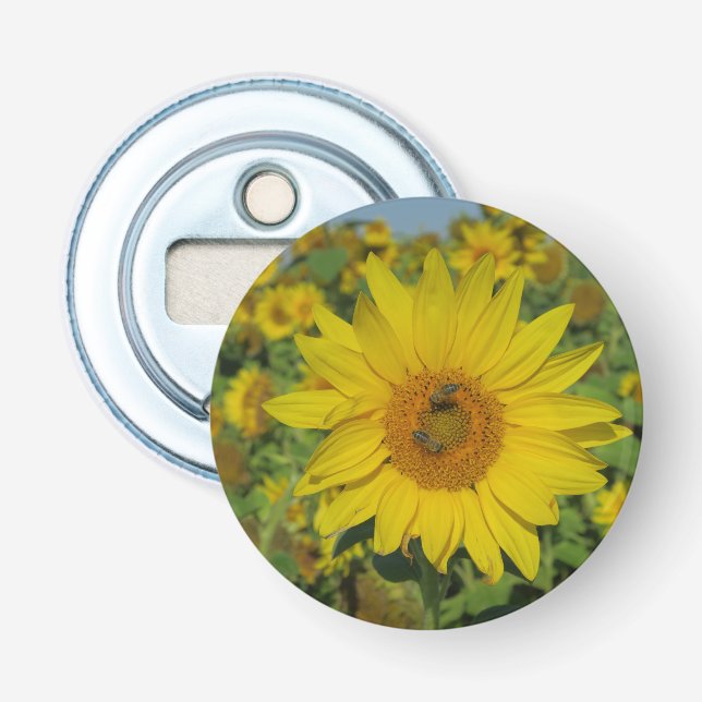 Sommarsommarsolblomma i gult blommar flasköppnare (Framsidan)