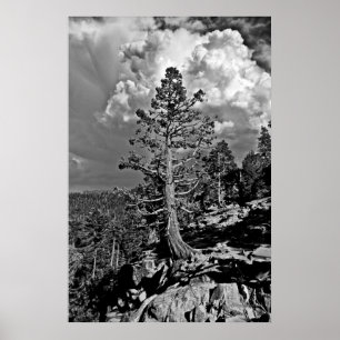 Sommarstormen Sjö Tahoe Poster
