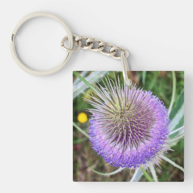 Sommarstötfångare (Framsidan)