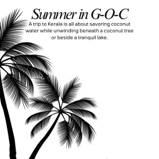 Sommart-shirts T Shirt