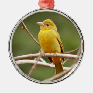 SommarTanager Julgransprydnad Metall