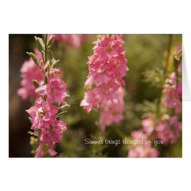 sommartankar hälsningskort (Framsidan Horizontal)